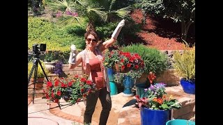 Interior Design | Outdoor Decorating
