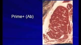 Dr. Gretchen Hilton - Beef Quality  Yield Grades