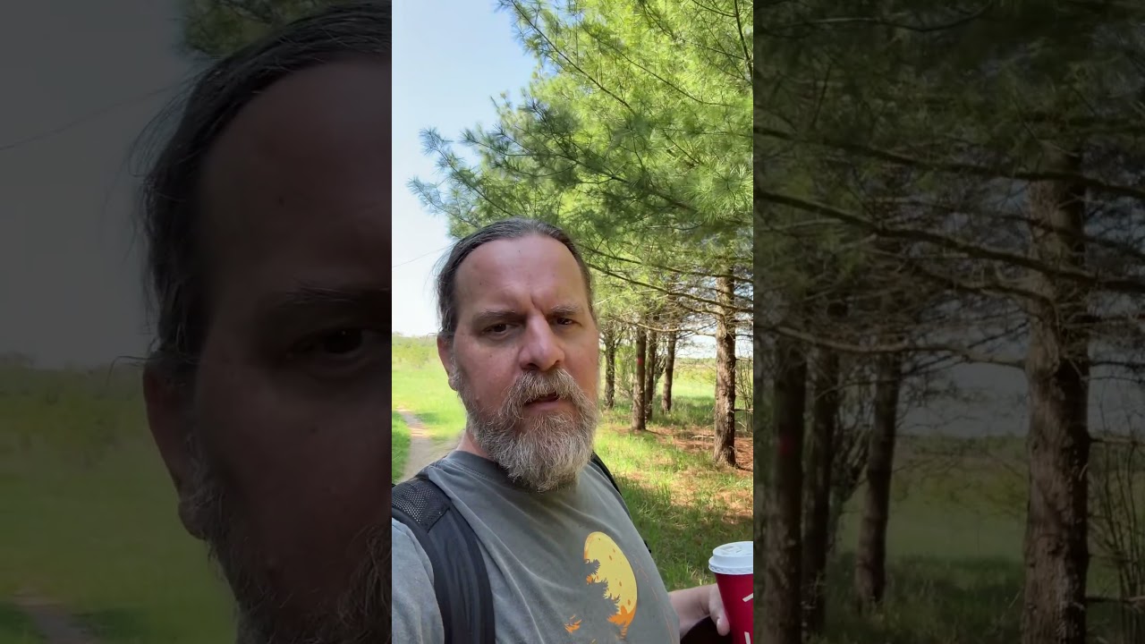 Появился новый вид — гибрид койота и волка, — но как это возможно? Койоты не могут скрещиваться с...