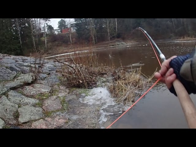 Spey casting. Gaelforce Destination #7/8 13´9 (pov) 