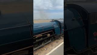 No.6 “Samson” arriving at Dungeness station #rhdr #trainspotting #trains