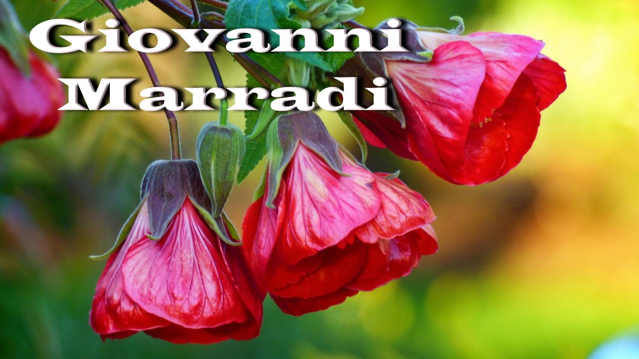 ♥GIOVANNI MARRADI - Just for you♥