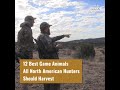 12 Game Animals All North American Hunters Should Harvest