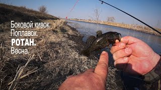 РОТАН  Рыбалка на боковой кивок и поплавок