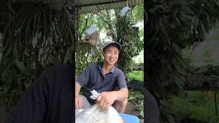 Cảnh nổi bật từ buổi phát trực tiếp