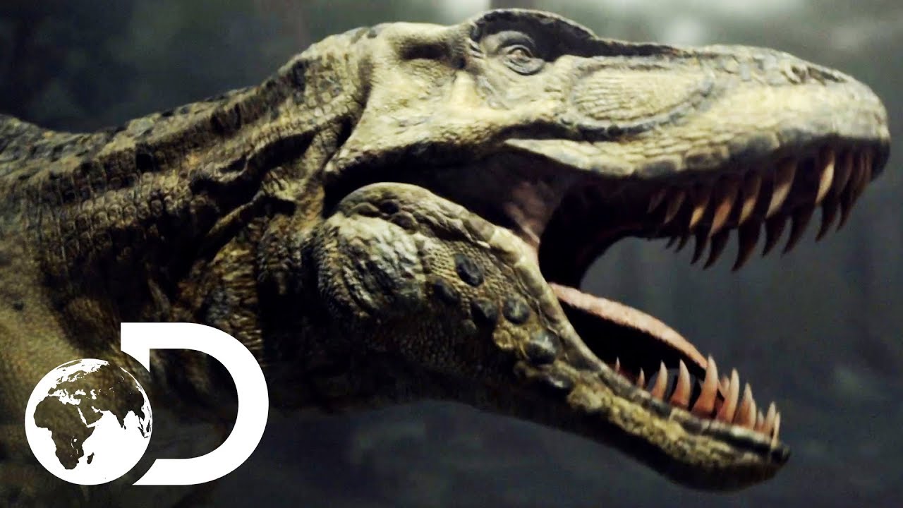 T-Rex Fights More Dinosaurs – Apps no Google Play