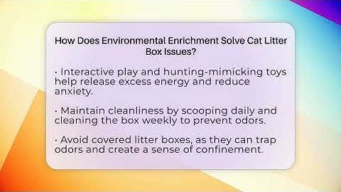 How Does Environmental Enrichment Solve Cat Litter Box Issues? - Happy Cat Handbook