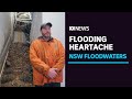 Flood evacuation orders issued in NSW, Sydneysiders warned to stay home | ABC News