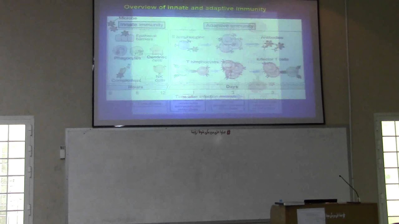 1- Immunology Lec , introduction - YouTube