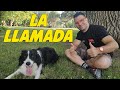 Entrenamiento de Llamada 🐶| Enseñar a tu Perro a Venir 😄🥇