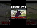 世界一過酷なタンポポ修行3選ww #Shorts