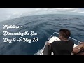 Maldives | Discovering Sea - Nemo, Dory, Turtles, Dolphins &amp; more.. | Maafushi | Vlog 23