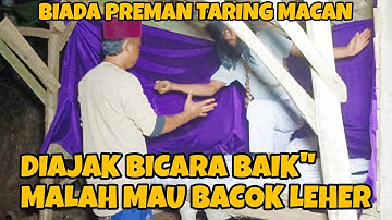 DATANGI PREMAN TARING MACAN MALAH NGAJAK RIBUT | dang rajo terbaru