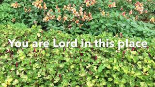 We Bow Down  Robin Mark 