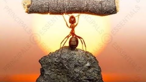 Day 21 pushup challenge #22Kill