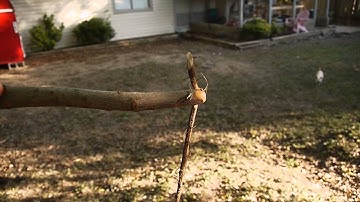 Backyard Survival: Root Cordage Bow Drill