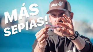 ¿Cómo Pescar MÁS SEPIAS? / Trucos para pescar Chocos