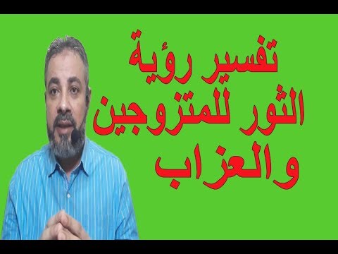 فيديو: لماذا يحلم الثور