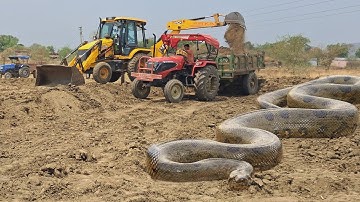 JCB 3dx Tractor Loading Mud in Just entry With Biggest Snake Anaconda | tractor video