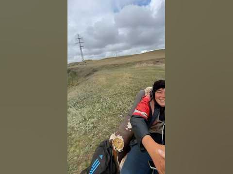 Пастухи в России, пасут сидя на Кресле😅 - YouTube
