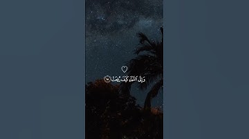 ﴿ أفلَا ينظُرون إلى الإبلِ كيف خُلقت ﴾ سوره الغاشيه، عبدالرحمن مسعد #ارح_قلبك#قرآن #عبدالرحمن_مسعد
