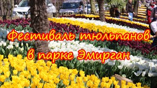 Фестиваль тюльпанов в парке Эмирган