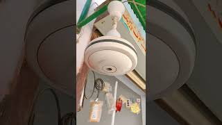 ceiling fan fall down 👎#shorts #ytshorts #shortsfeed