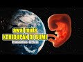 Awal Mula Kehidupan di Bumi ‼️ Teori Neoabiogenesis ‼️ Prakambrium - Archean Eon