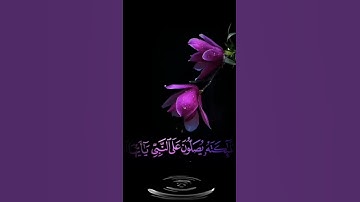 صباح الخير 💜 اجمل حالات واتساب مقاطع قصيره 💜 قران كريم ان الله وملائكته يصلون على النبي💜 بدون حقوق