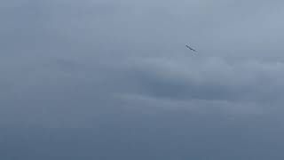 Bird Flies Amongst Clouds Above Indian River at Pier 220 Seafood & Grill! Titusville, Florida