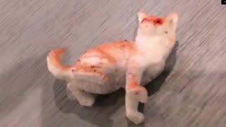 キモい猫のおもちゃ