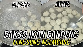 Langsung Ngembang - Resep Bakso Ikan Bandeng