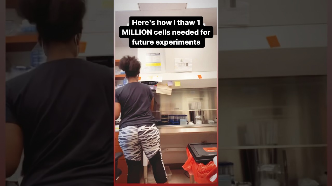 Growing them up to 2 MILLION each plate 