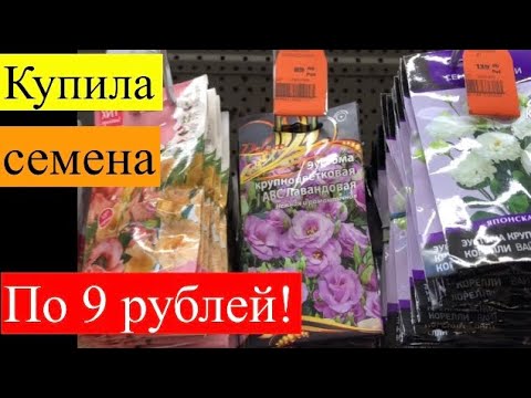 Семена цветов на 2023 год. Нашла семена по 9 рублей 🔥, обалдеть!