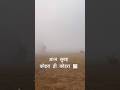 सुबह का घना कोहरा 🌫️ | Winter Morning Vibes | #Shorts