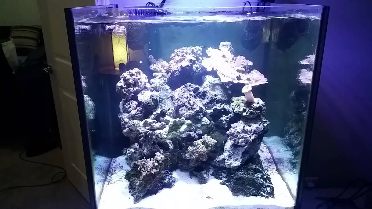 mars aqua 165w full