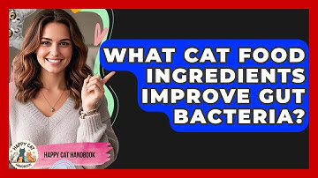 What Cat Food Ingredients Improve Gut Bacteria? - Happy Cat Handbook