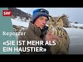 Der Mann mit dem Vogel – Ein Schweizer Hobby-Ornithologe und seine Eule | Reporter | SRF