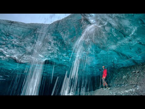 Video: Arctic Hare: komik bir qütb dovşanının şəkillər toplusu