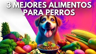 ¡CUIDA A TU PERRO! Los 3 mejores alimentos para Perros del 2024 by Todo Sobre el Perro 180 views 2 weeks ago 3 minutes, 28 seconds