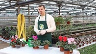 Егорьевский тепличный комбинат - YouTube