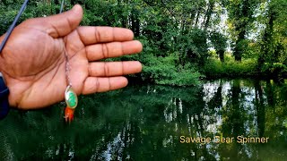 Use This Simple Spinning Method to catch fish all day Long | Fisherman's Dream | The Fishing Daddy