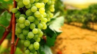 Grapes Unboxing