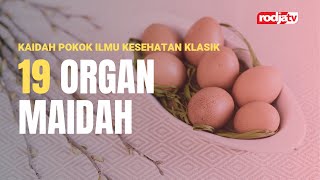 Pengobatan Klasik: 19 Organ Maidah #2 l Sinse Abu Muhammad Faris Al-Qiyanji
