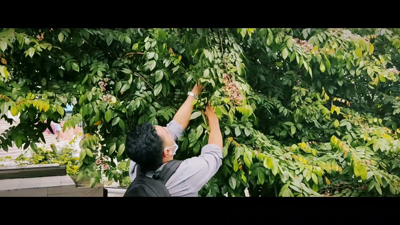 Vlog-2|Daffodil international University