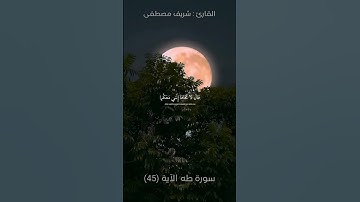 سورة طه الآية (45)