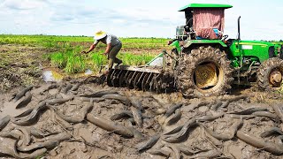 Amazing Fishing Unique Mud BeHind Khmer Tractor - Amazing Fishing in the Natural Beautiful Field