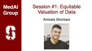 MedAI Session 1: Equitable Valuation of Data | Amirata Ghorbani