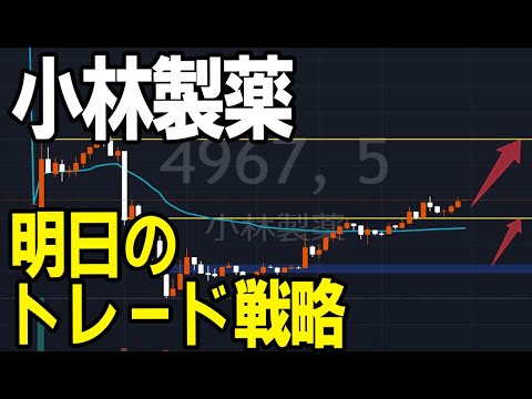 小林製薬（4967）紅麴ショック。株式テクニカルチャート分析