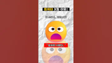 지금 트위터가 X된 이유